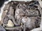 2023 Nissan URVAN 4 PTS AMPLIA TM5 AAC